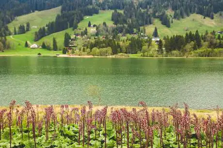 Parc naturel du Gantrisch