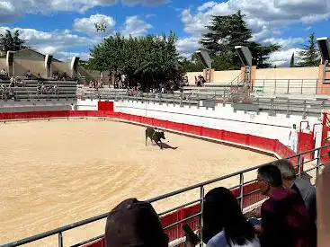 Arènes de Bouillargues