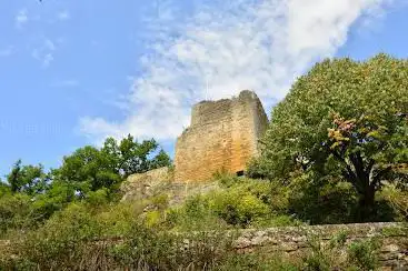 Chateau de Caylus