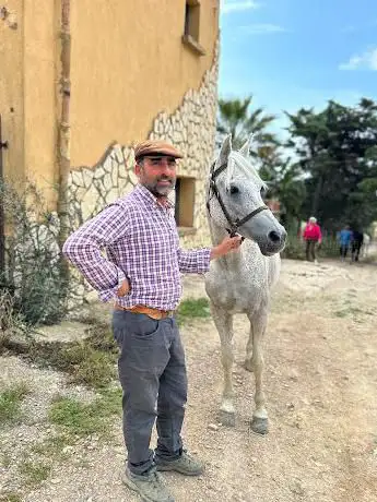 Sicily Horse Tours