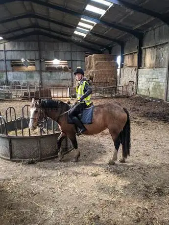 Northfield Farm Riding and Trekking Centre