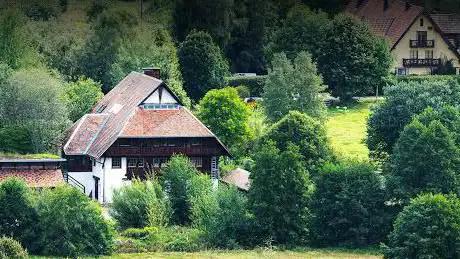 Dharma Sangha - Zen Buddhistisches Zentrum Schwarzwald.