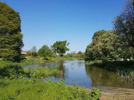 Water Maze