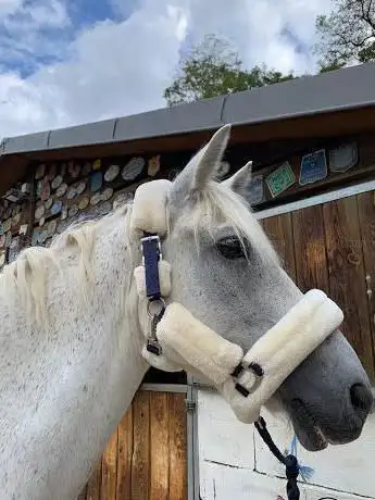 Poney Club du Bois de Verrières