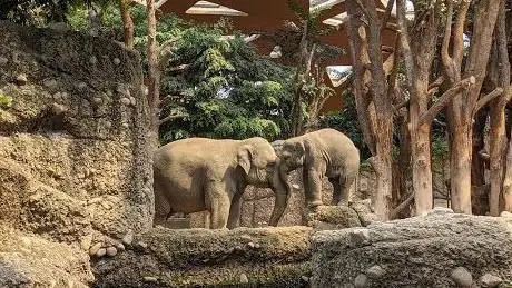 Zoo Zürich