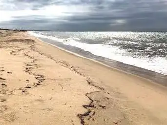 Long Point Wildlife Refuge