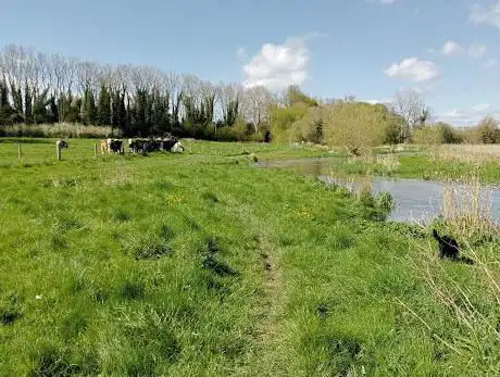 St Clair's Meadow