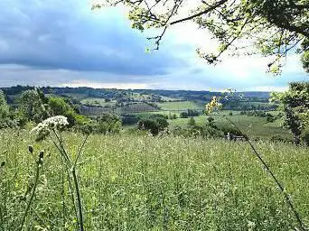 le coteau des Champs Genêts