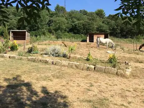 Centre équestre les chevaux des Muscats