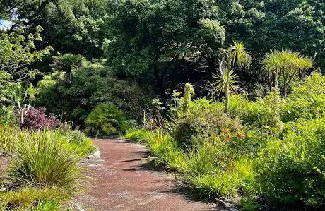 Tropical Gardens