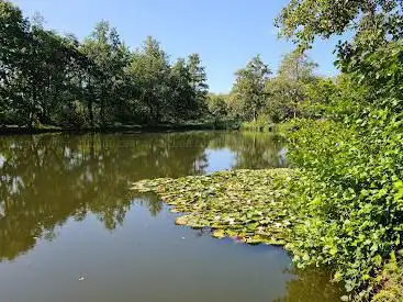 Weiher am Thimos