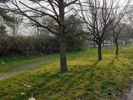 Bushey Road Nature Reserve