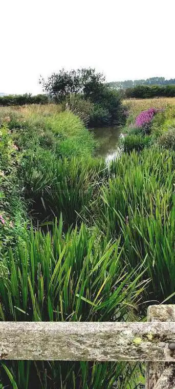 Sandown Meadows nature reserve