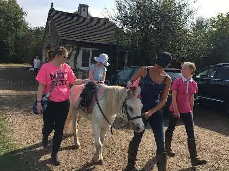 Holly Bush Stables