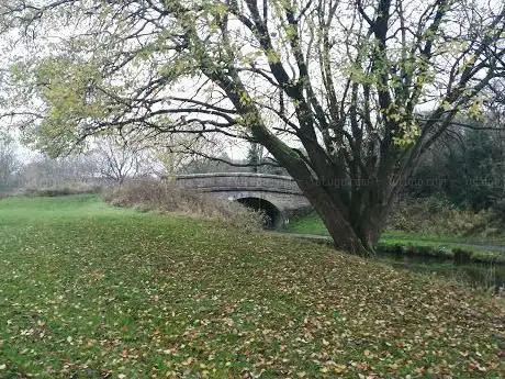 Shoresclough Brook