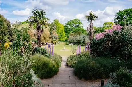 Mediterranean Garden