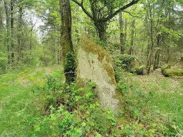 Menhir de Kervazy