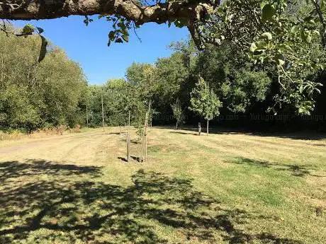 Shenley Church End Public Orchard