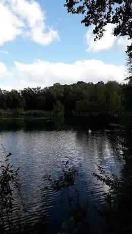 Watercut Copse