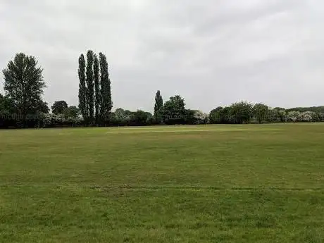 Ockham Cricket Club