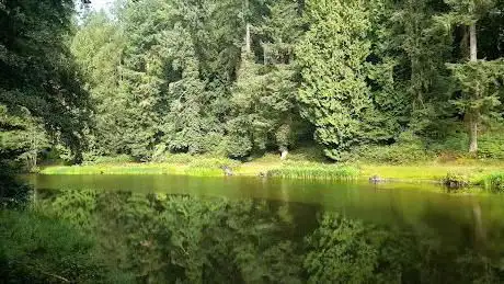 Soudley Ponds