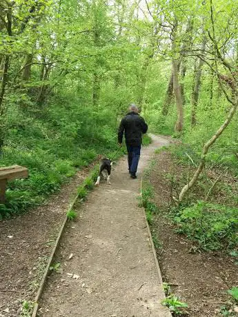 Silver Street Local Nature Reserve