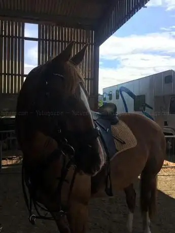 Sunnybank Equestrian Centre