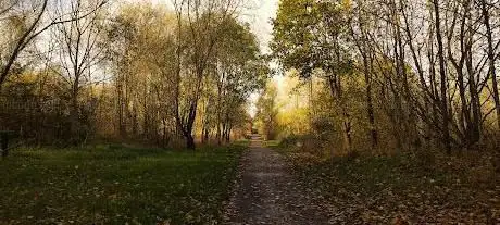 Swadlincote Wetlands