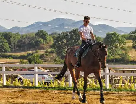 De Santis Equestrian Team A.S.D.