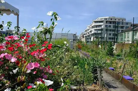 Terre Terre (ferme urbaine)