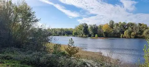 Ramier des berges de Garonne