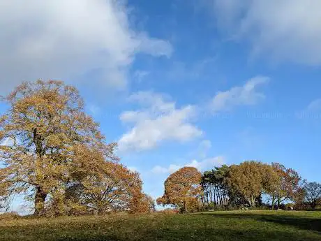 Hampstead Heath Tumulus