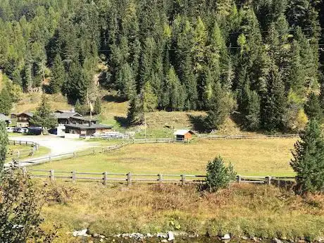 Turtmanntal Alpaufzug Arena