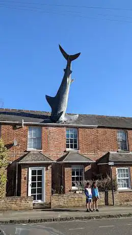 The Headington Shark