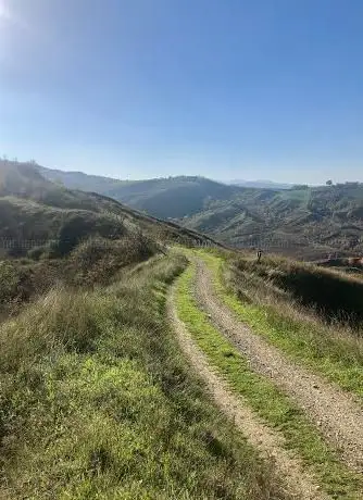 Parco Naturale Miniere di Formignano