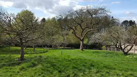 National Trust - Woolsthorpe Manor