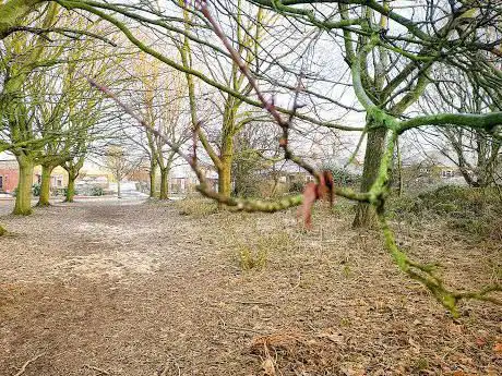 Hightown Road Greenspace