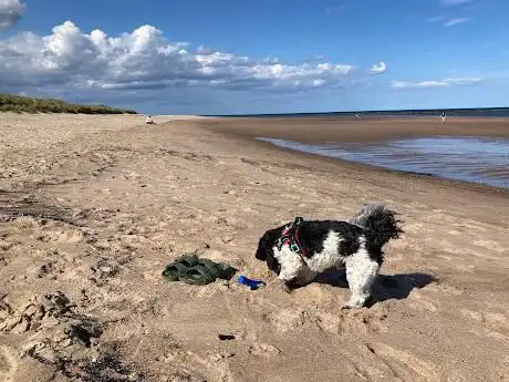 Druridge Bay Cresswell Dunes