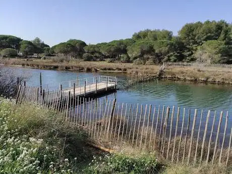 Basin Rehabilitation Des Tortues Marines Cestmed