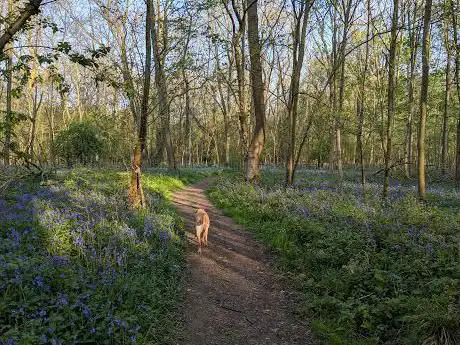 Southwick Wood Nature Reserve