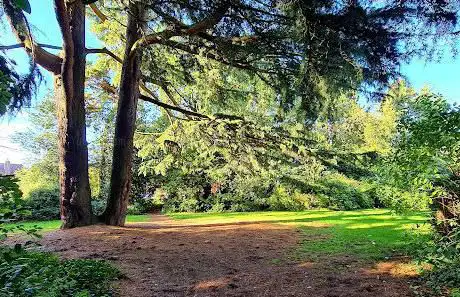 Mickleover Manor Public Open Space