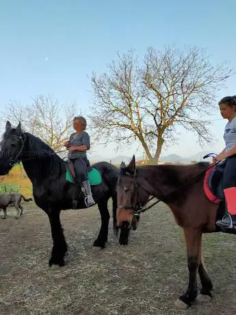 Nuovo centro Equestre New river club