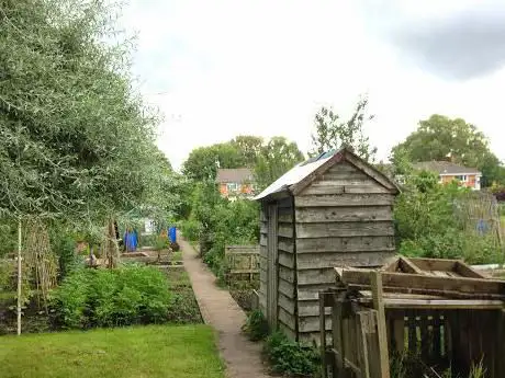 Millwater Allotments