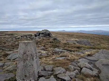 Ward's Stone