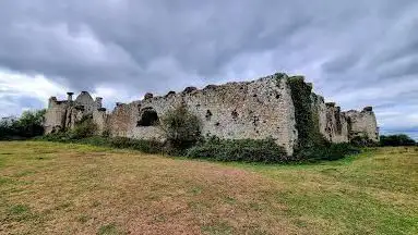 Ruines du château de la Rivière (château des cigognes)