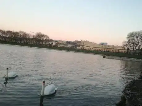 Picnic Area - Lake of The Swiss Guards