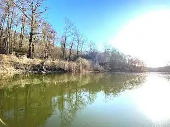 Etang De La Geneste