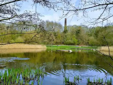 Baggeridge Country Park Car Park