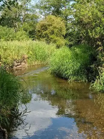 Barston Ford