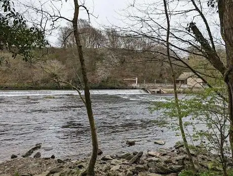 Halton Rapids